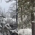 By The River In Gstaad With Sauna Feriehus Gsteig