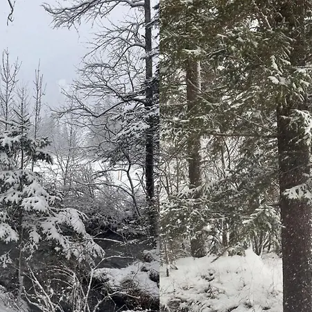 By The River In Gstaad With Sauna Casa vacanze Gsteig